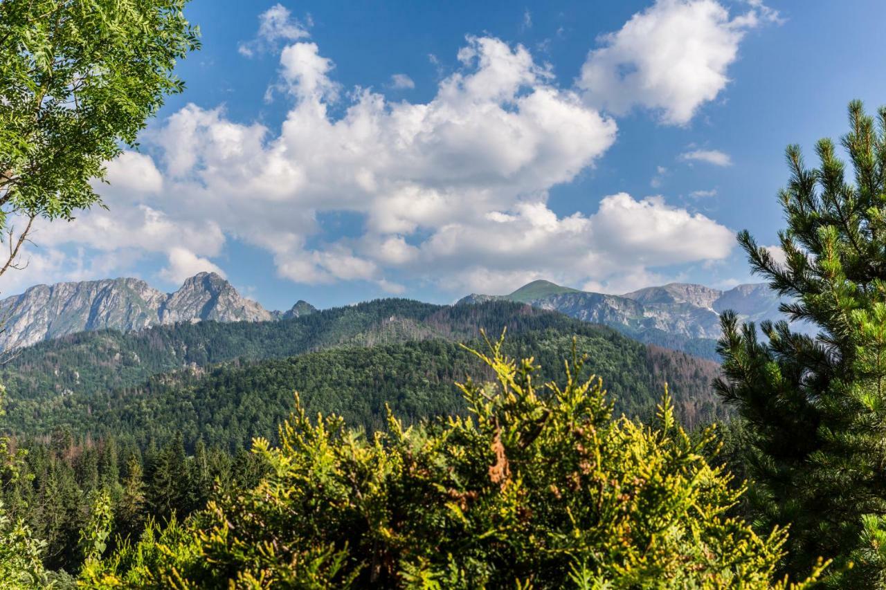 Domy Sywarne Z Sauna I Widokiem Na Gory Koscielisko Bagian luar foto